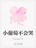 小葡萄不会哭在线阅读