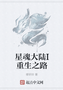 星魂大陸I重生之路