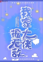 我家大佬很無敵在線閱讀
