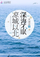 凉城以北深海不眠在线阅读