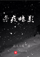 冬夜暗影在線閱讀