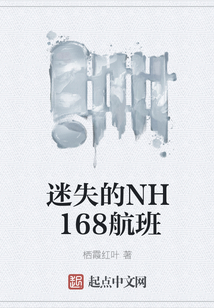 迷失的NH168航班