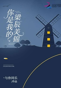 你是我的梁辰美錦