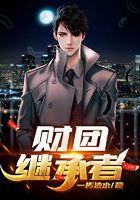 财团继承者在线阅读
