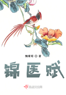 錦醫賦