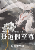 丹道假至尊在線閱讀