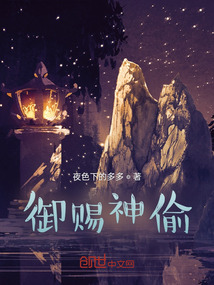御賜神偷