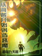 从海贼开始创造恶魔