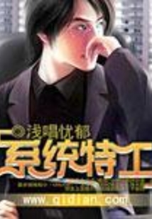 系統特工