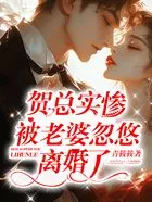 贺总实惨,被老婆忽悠离婚了在线阅读