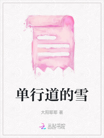 單行道的雪