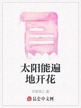 太阳能遍地开花在线阅读