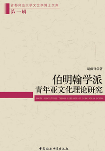 伯明翰學派青年亞文化理論研究