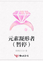 元素凝形者（暫停）在線閱讀