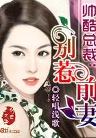 帅酷总裁：别惹前妻在线阅读