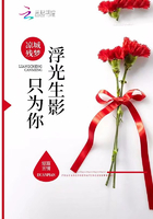 浮光生影只為你在線閱讀
