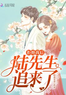 拒絕我后陸先生追來了