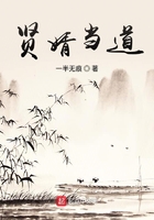 賢婿當道在線閱讀