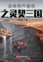 灵气复苏之灵契三国在线阅读