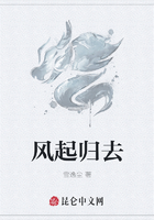 风起归去在线阅读