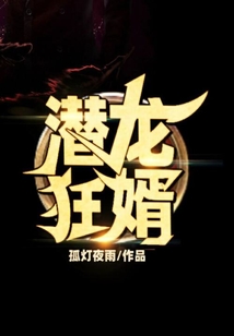 潛龍狂婿
