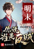 明末：你說誰是反賊？在線閱讀