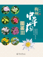 梅州中草药图鉴Ⅲ在线阅读