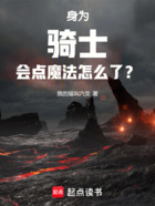 身为骑士会点魔法怎么了？在线阅读