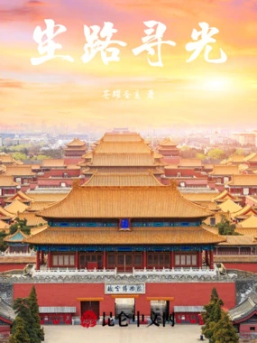 尘路寻光在线阅读