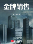 金牌销售在线阅读