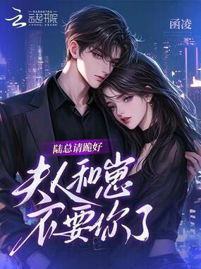 陆总请跪好,夫人和崽不要你了在线阅读