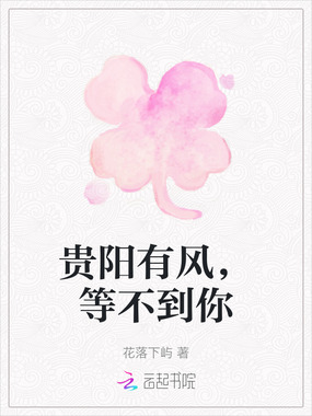 贵阳有风,等不到你在线阅读