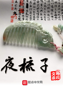 夜梳子