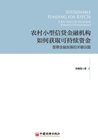 农村小型金融机构如何获取可持续资金在线阅读