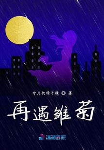 再遇雏菊