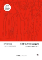 新课标：钢铁是怎样炼成的