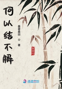 何以結不解