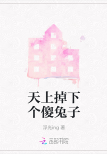 天上掉下個傻兔子