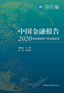 中國金融報告2020