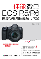 佳能微单EOS R5/R6：摄影与视频拍摄技巧大全在线阅读