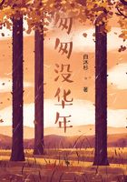 匆匆没华年