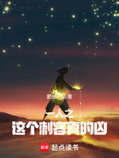 一人之这个刺客真的凶在线阅读