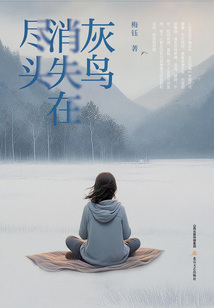 灰鳥消失在盡頭