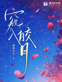 窥入皎月 封面