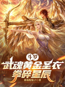 斗罗:武魂黄金圣衣,拳碎星辰 封面