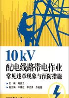 10kV配电线路带电作业常见违章现象与预防措施在线阅读