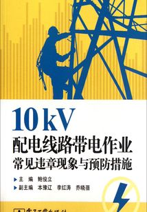 10kV配電線路帶電作業(yè)常見違章現(xiàn)象與預(yù)防措施