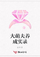 大萌夫養成實錄在線閱讀