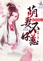 腹黑相公：萌妻不好惹在線閱讀