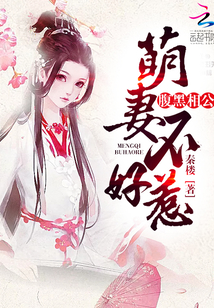 腹黑相公：萌妻不好惹